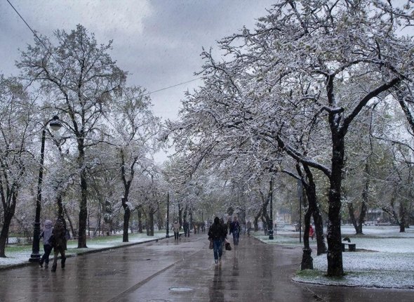 Новость дня