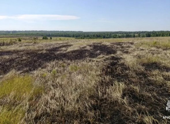 Курение привело к ландшафтному пожару в Зиминском районе