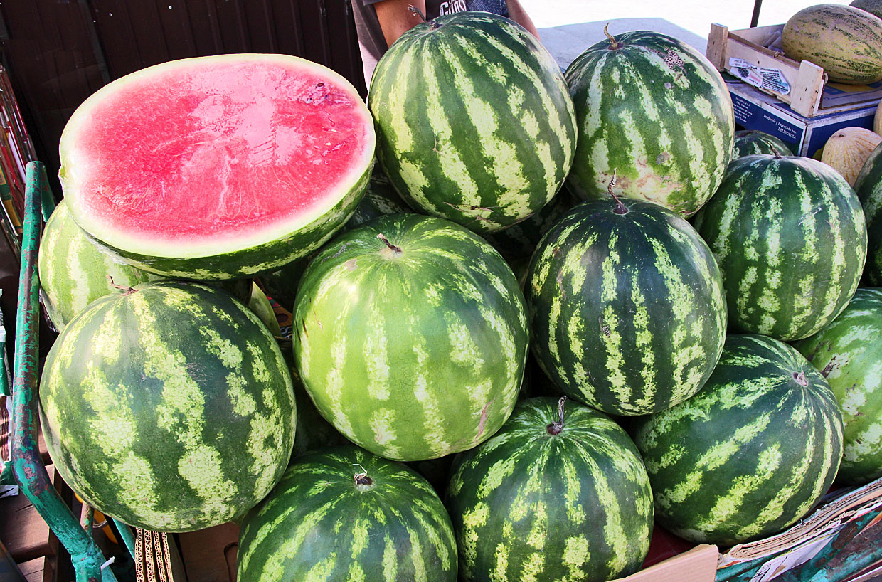 Арбузы Мария Оленникова, IrkutskMedia