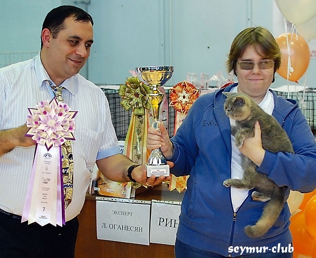 Выставка кошек в Иркутске