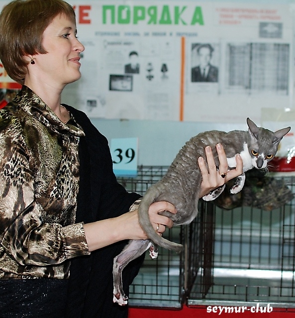 Выставка кошек в Иркутске