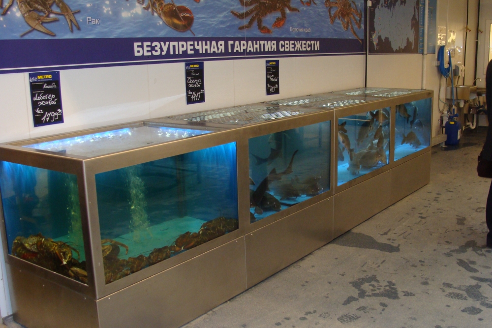 Центр мелкооптовой торговли МЕТРО Кэш энд Керри откроется в Иркутске 1 ноября