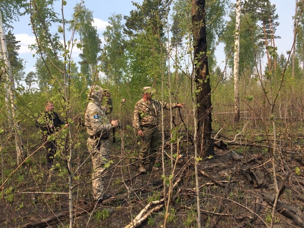 Лес ГУ МЧС России по Иркутской области