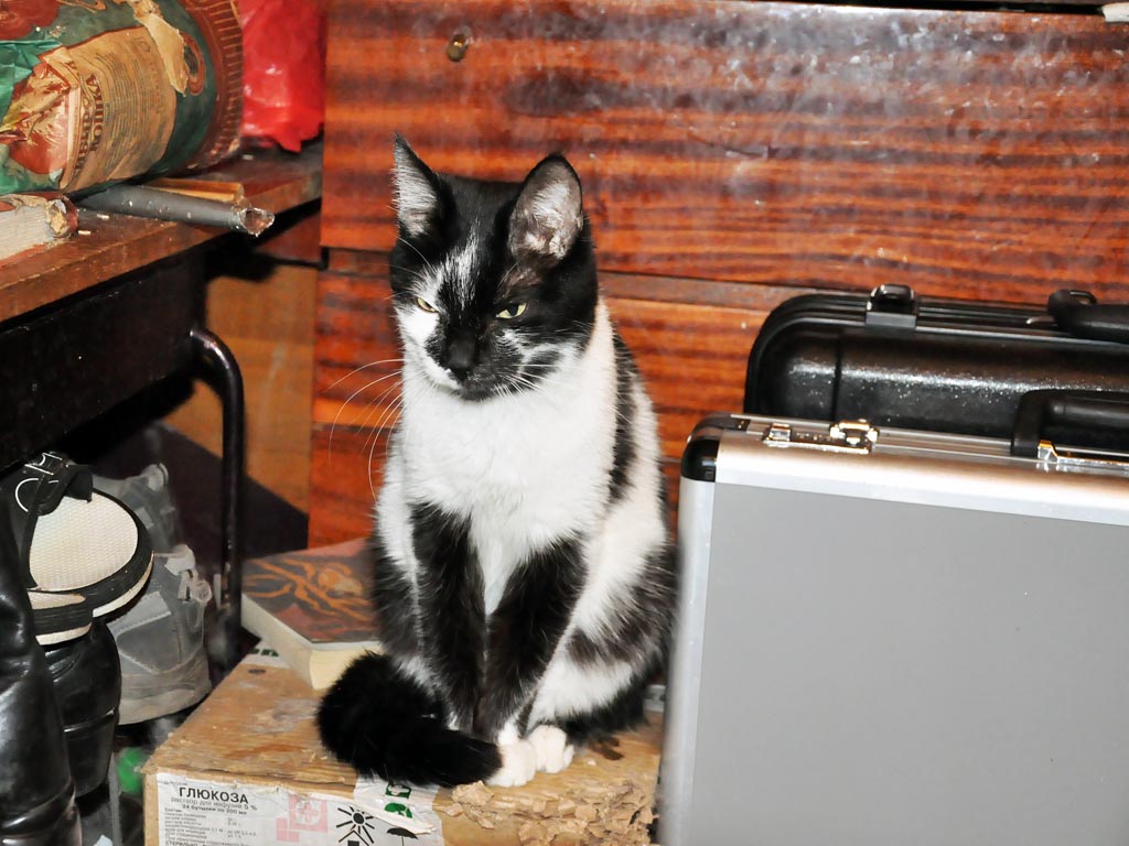 Один из постояльцев, Фото с места события собственное