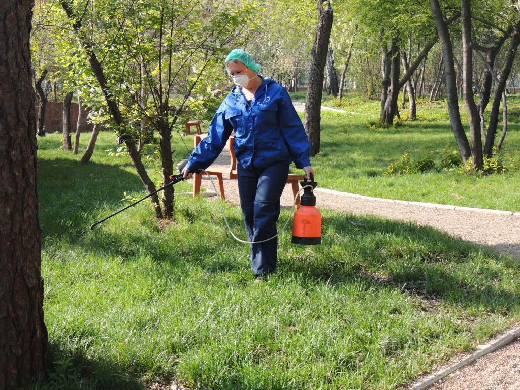 В этом году площадь обработки увеличилась на 100 га , Фото с места события собственное