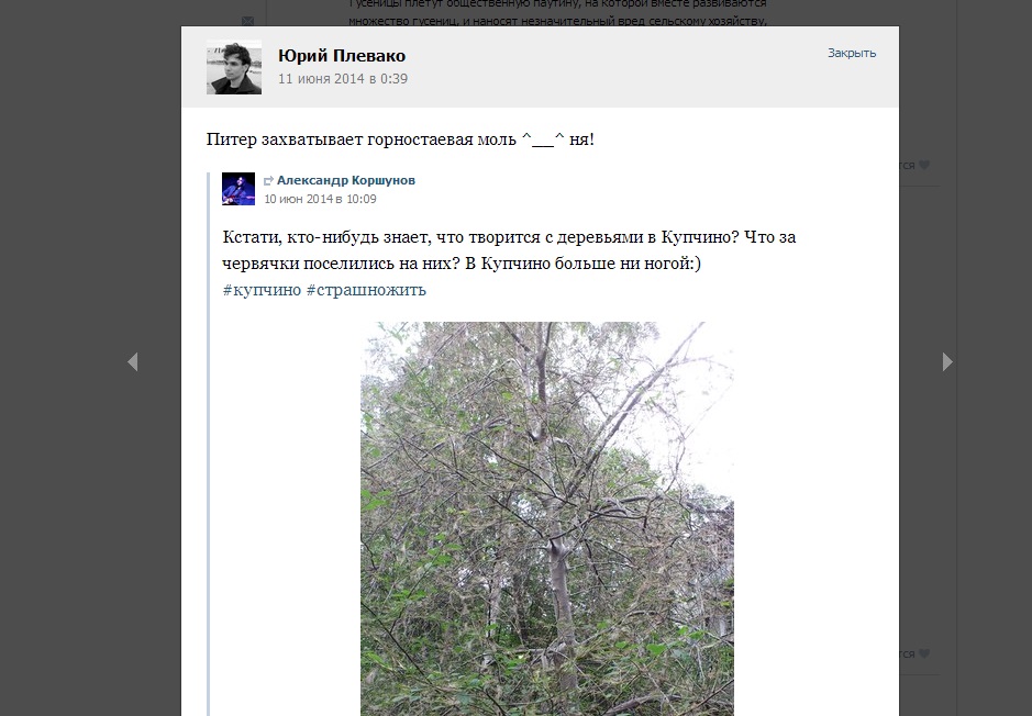 Сообщение "ВКонтакте" , Фото с места события из других источников