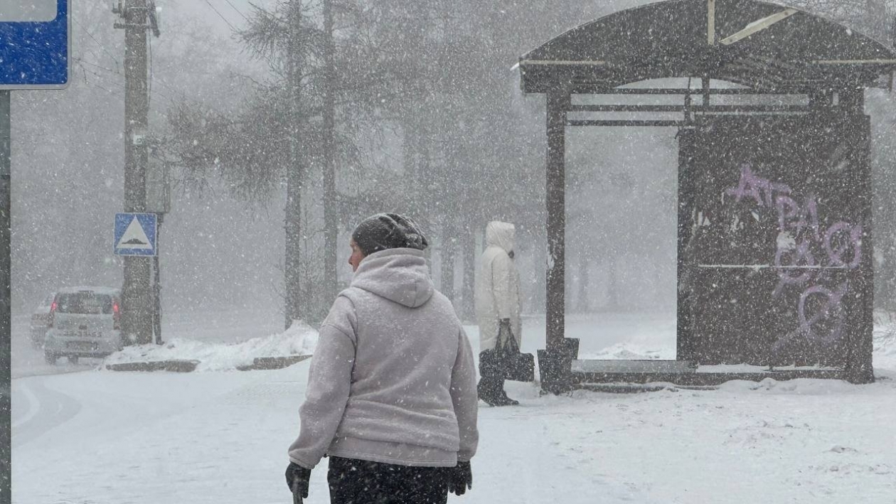Снегопад в Иркутске Юлия Ушакова, ИА IrkutskMedia
