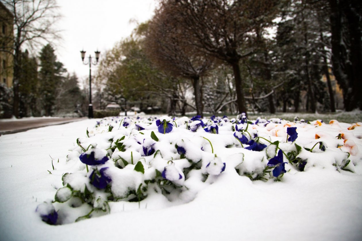Резкая смена прогнозов: синоптики отложили весну в России Артём Хорошилов  , ИА Stavropol.Media