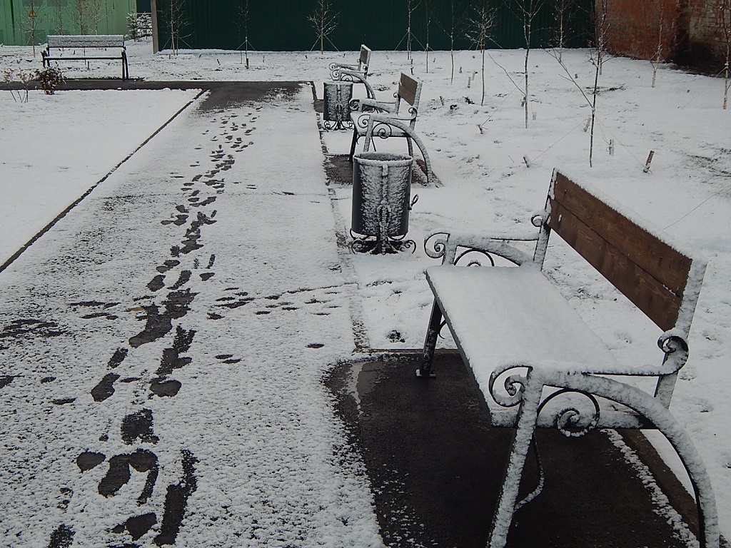 Сквер, укрытый снегом, Фото с места события собственное
