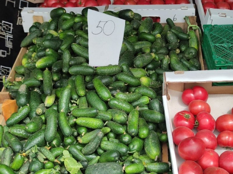 Огурцы ИА Stavropol.Media
