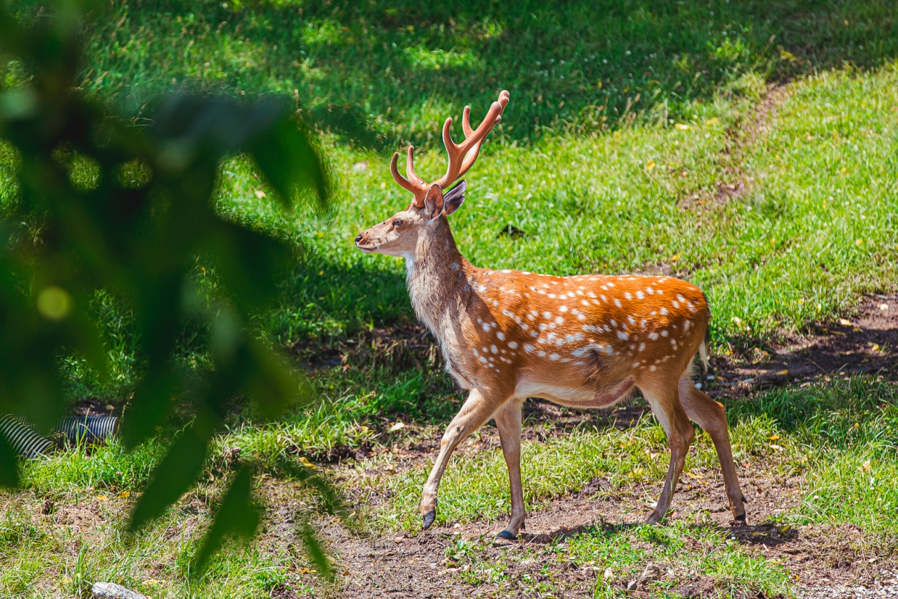 &quotЗаповедный паспорт&quot позволит россиянам посещать заповедники и национальные парки Мария Смитюк, ИА PrimaMedia