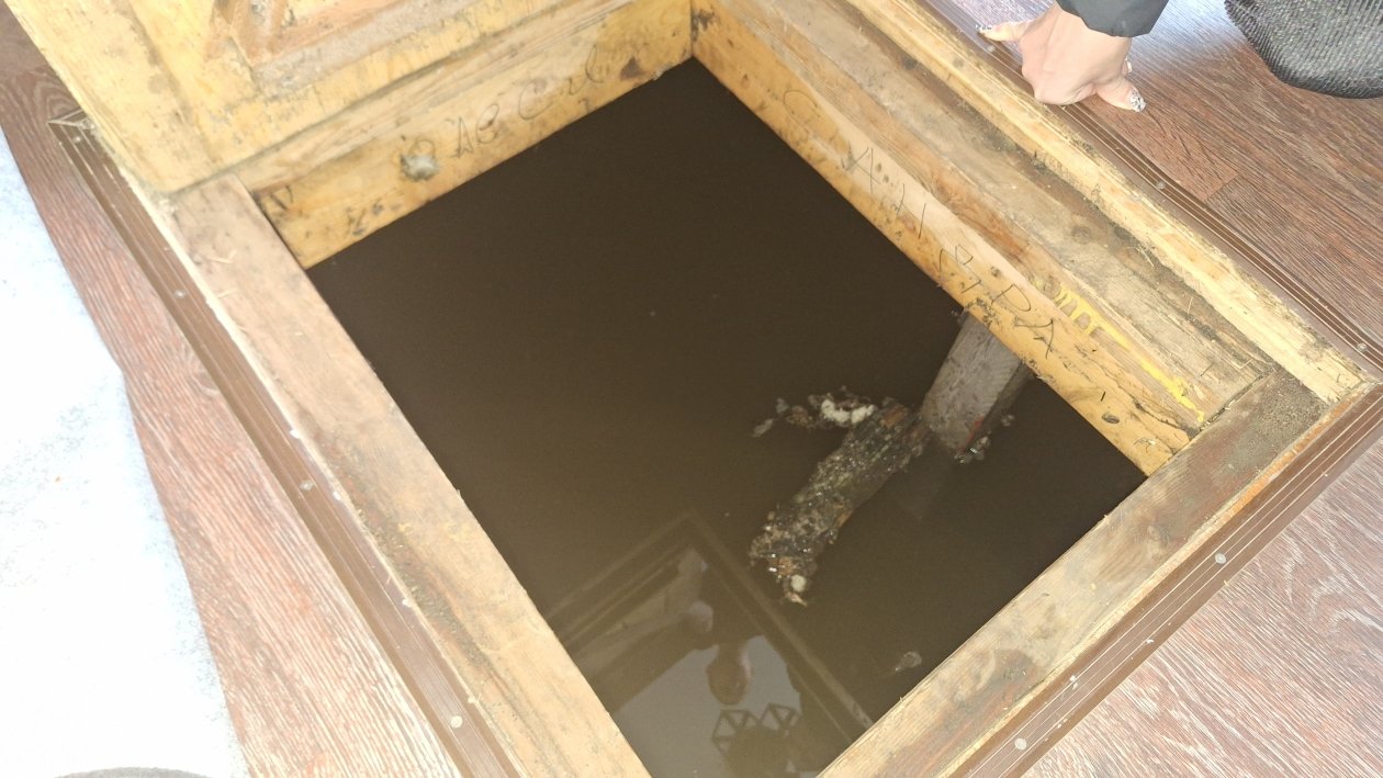 Ксения Абрамова, ИА IrkutskMedia