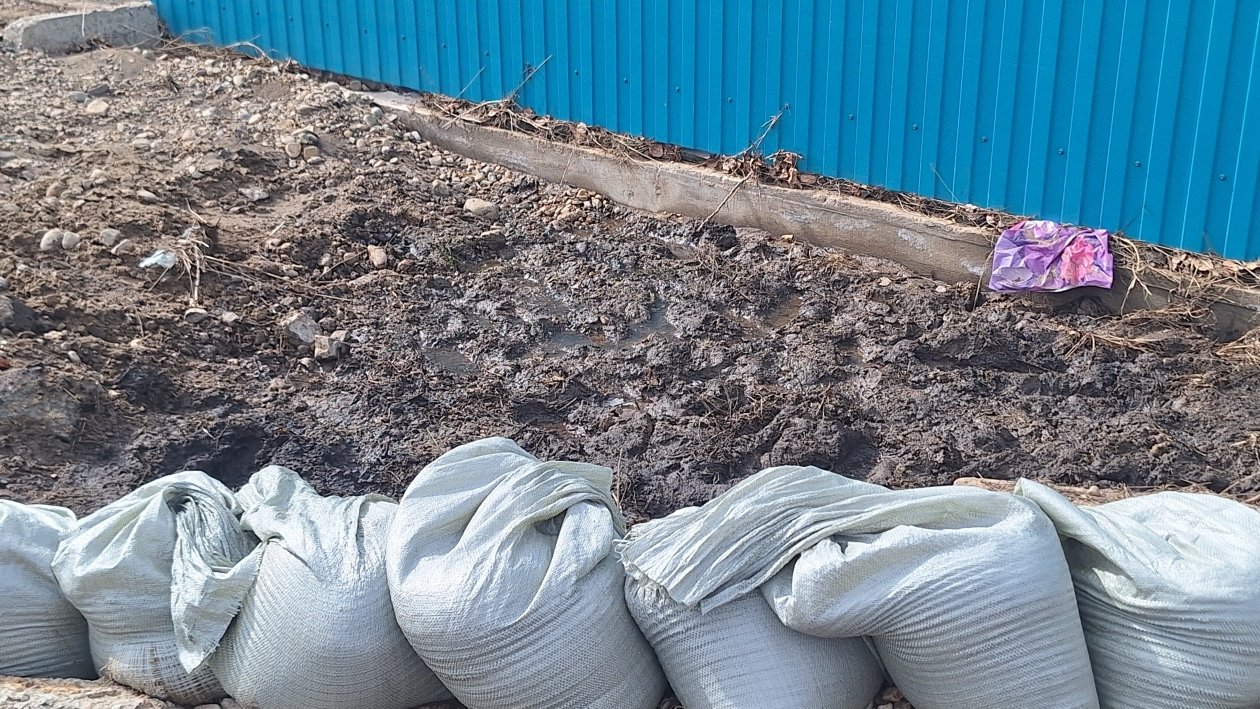 Ксения Абрамова, ИА IrkutskMedia