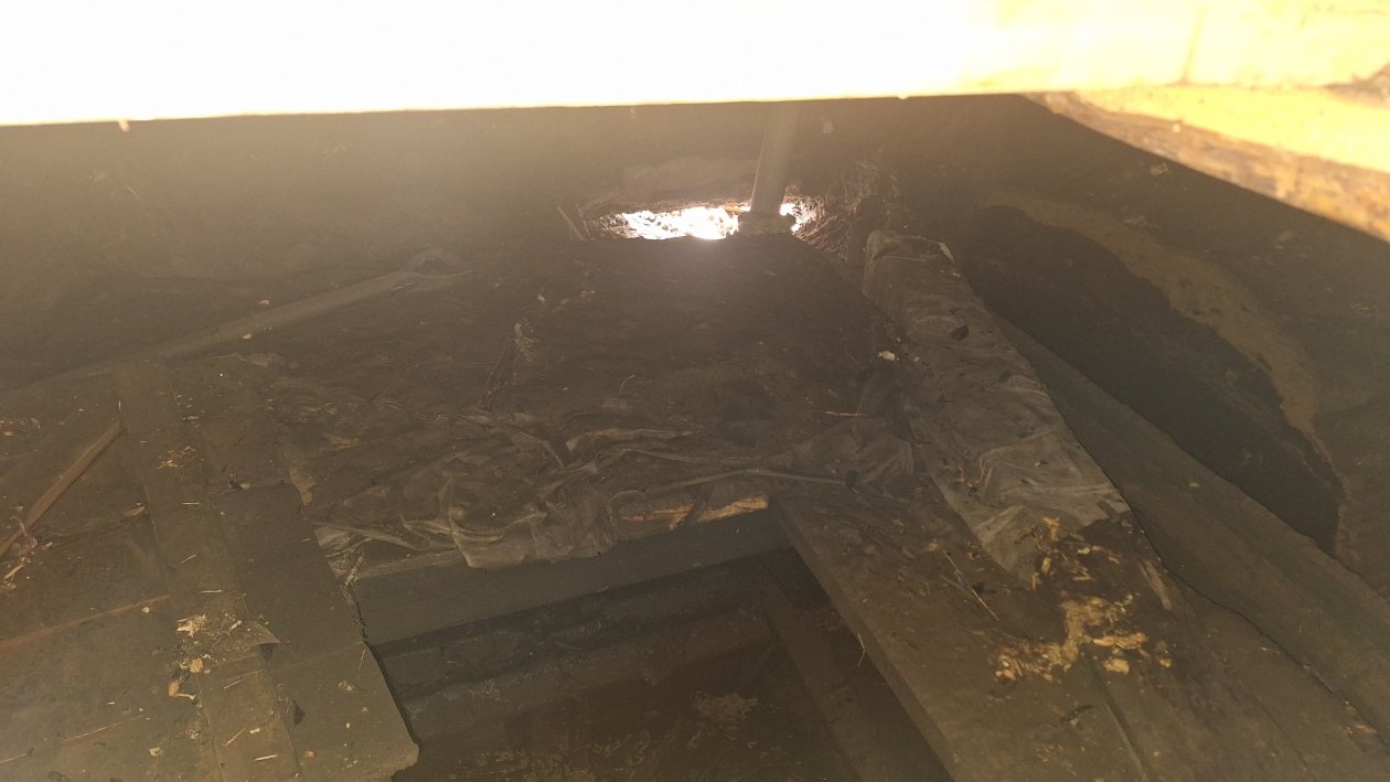 Ксения Абрамова, ИА IrkutskMedia