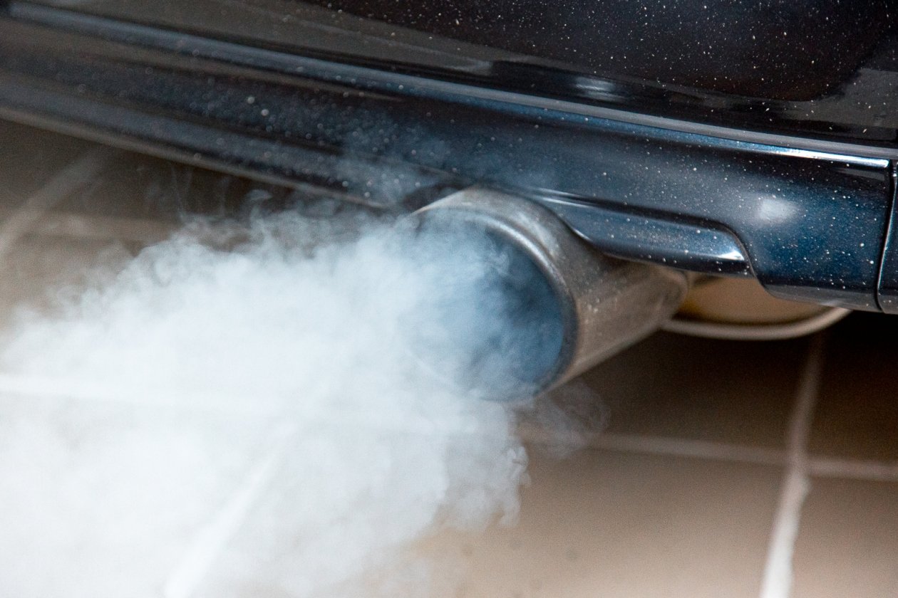 Выхлоп Илья Аверьянов, ИА PrimaMedia.ru