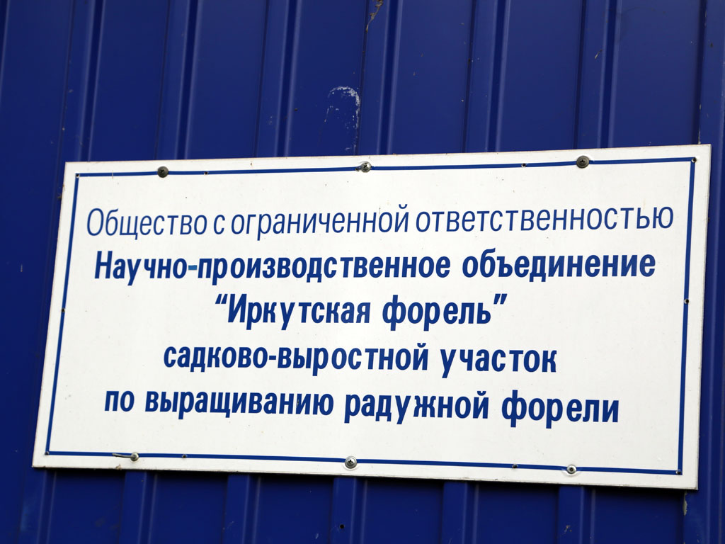 ООО Научно-производственное объединение "Иркутская форель", Фото с места события собственное
