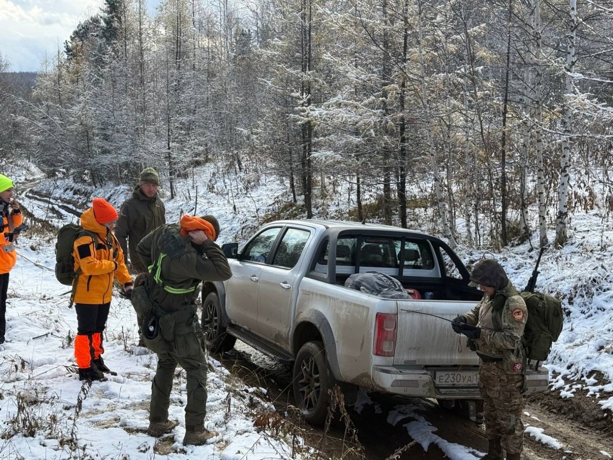 Поиски Усольцевых в Красноярском крае Лиза Алерт