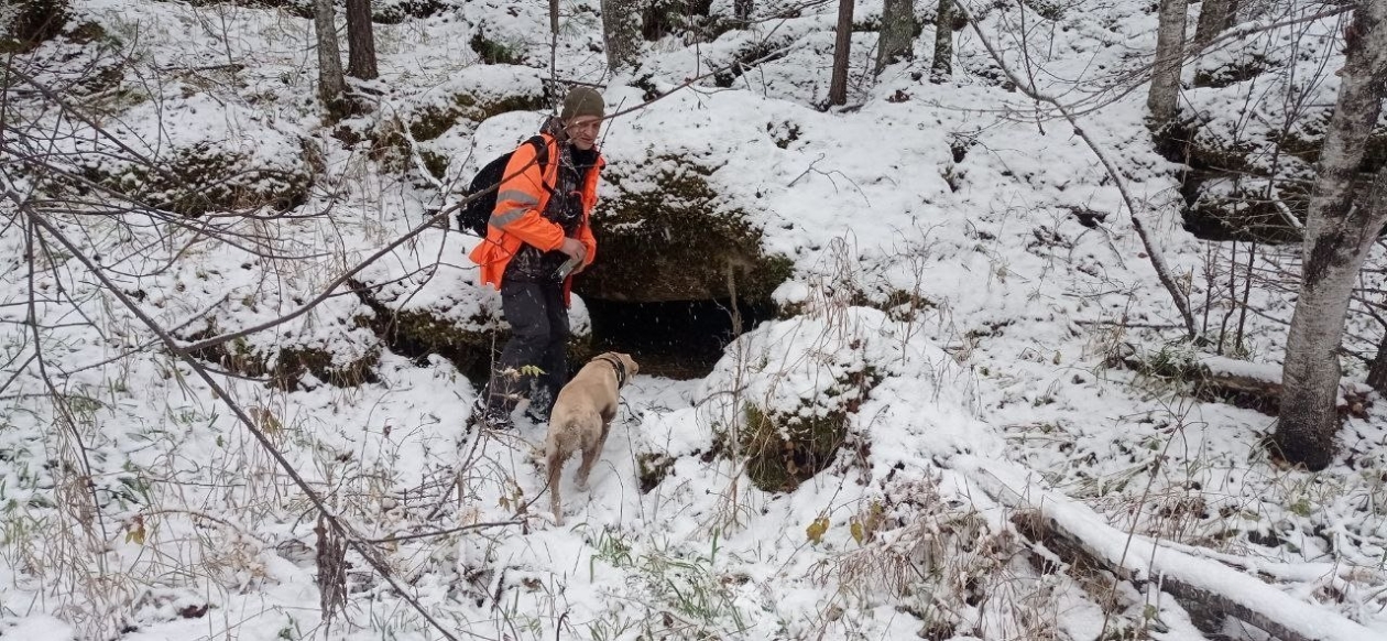Поиски семьи Усольцевых &quotЛиза Алерт&quot