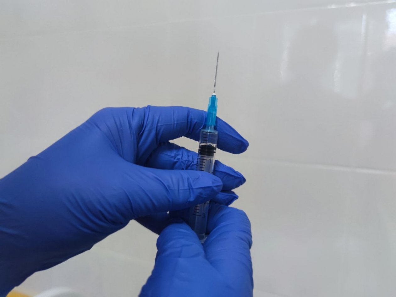 Врач рассказала, кому нужна весенняя вакцинация от клещевого энцефалита Елена Гиневская, ИА Stavropol.Media