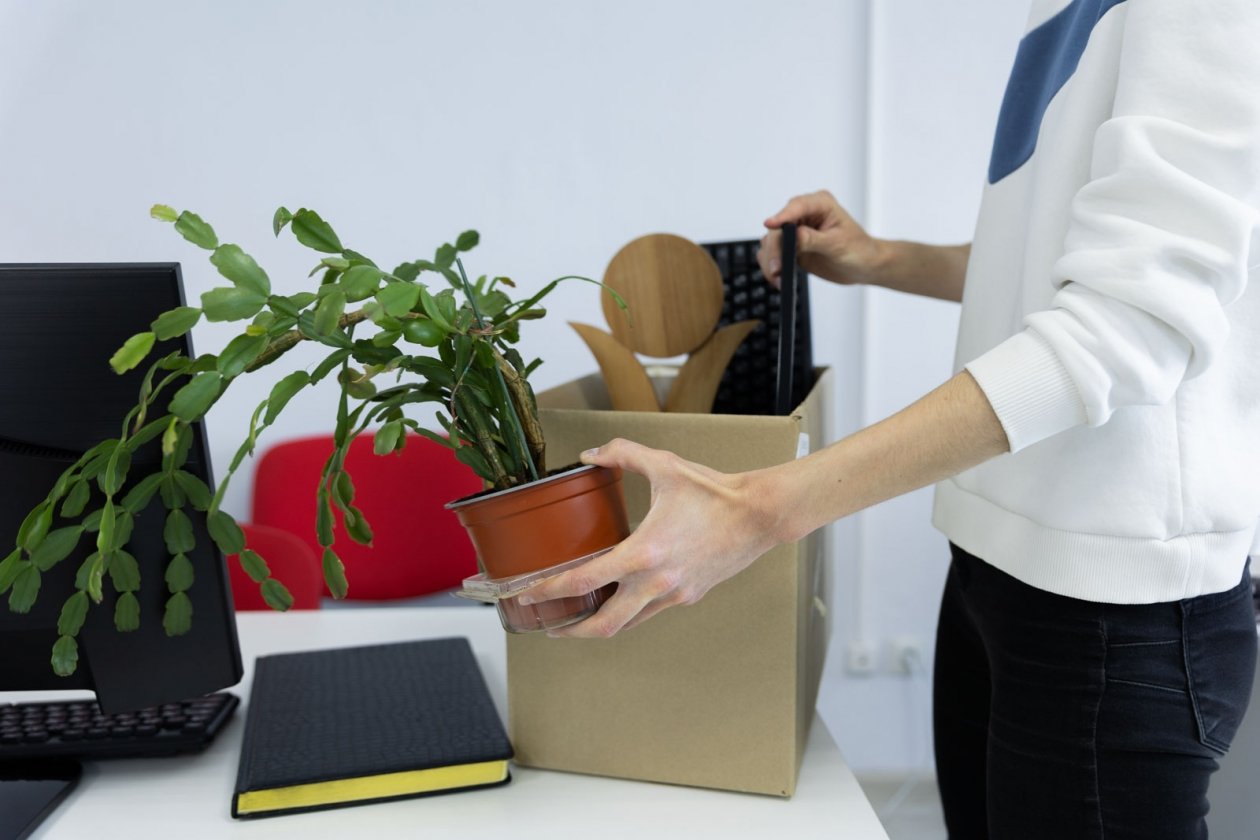 Эксперт назвал главную причину увольнений в 2026 году Артём Хорошилов  , ИА Stavropol.Media