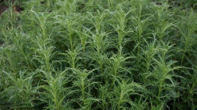 Тематическое фото Создано при помощи ИИ