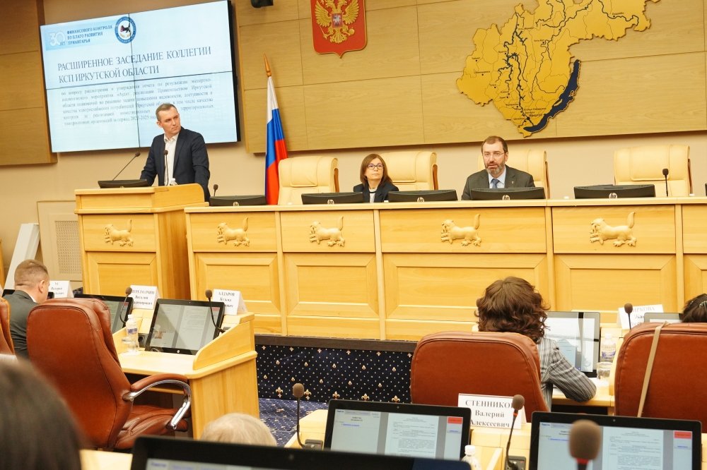 Эффективность управления электроснабжением в Иркутской области обсудили в Заксобрании Мария Иванова