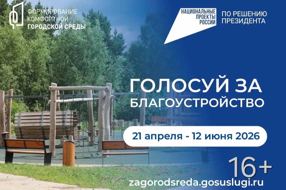 Голосование (16+) правительство Иркутской области