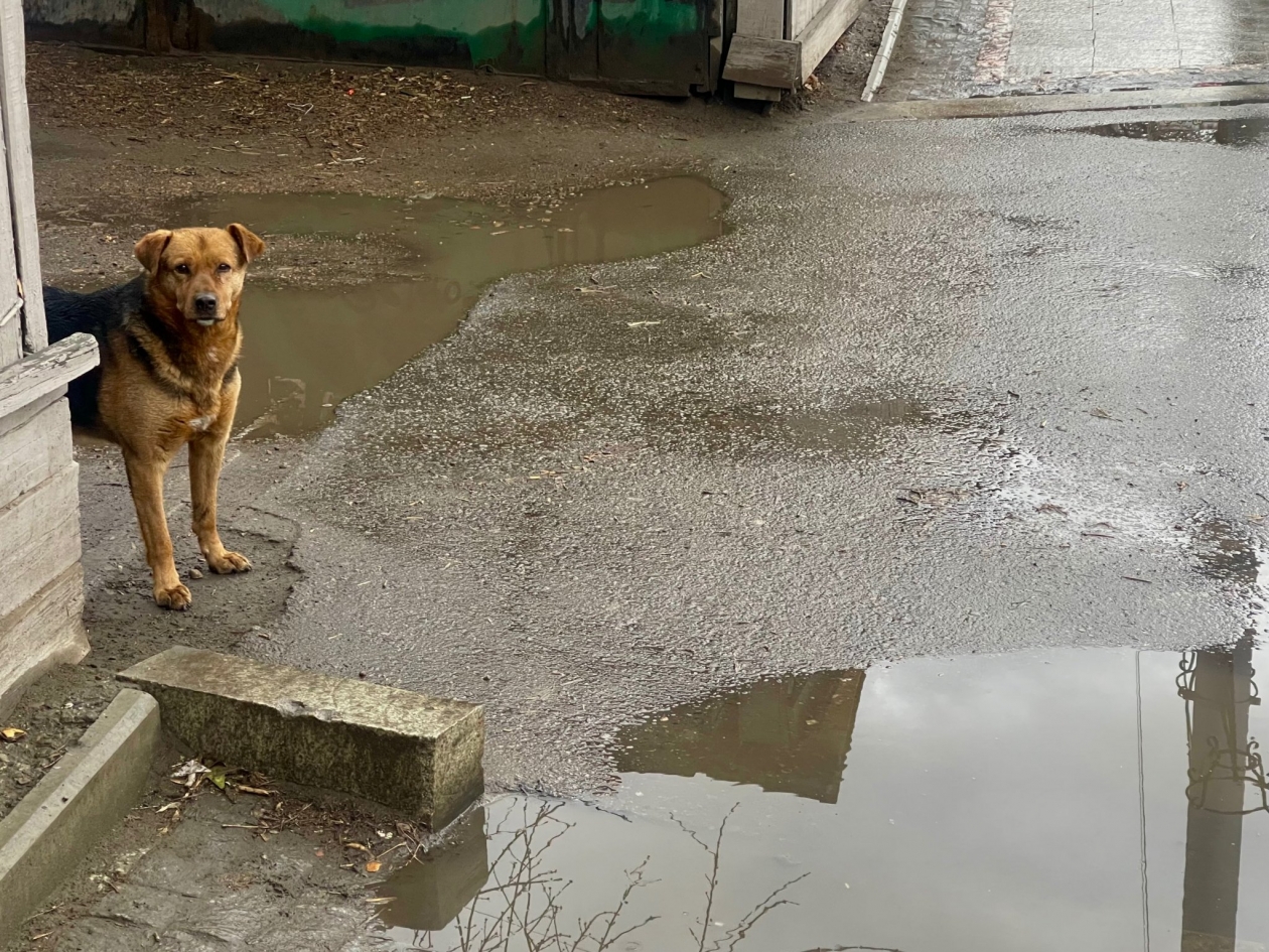 Дожди и до +16°С: стала известна погода в Иркутской области на выходных Юлия Ушакова