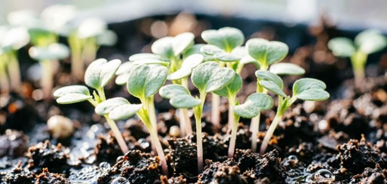 Тематическое фото Создано при помощи ИИ