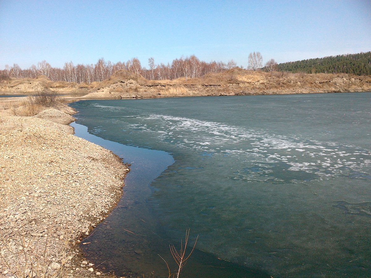 Плодородный слой почвы был испорчен на острове Зуевский в Иркутском районе Пресс-служба управления Россельхознадзора по Иркутской области и Республике Бурятия