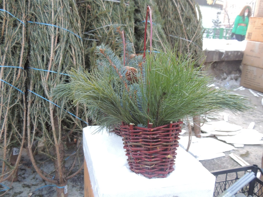 Корзинки, Фото с места события собственное