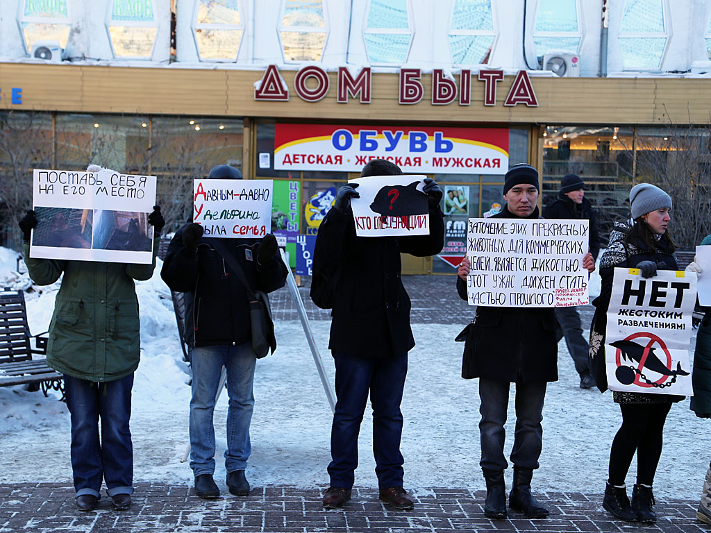 Пикет против гастролей дельфинария , Фото с места события собственное