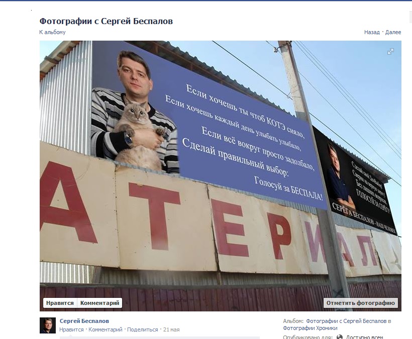 Коты на предвыборном поле