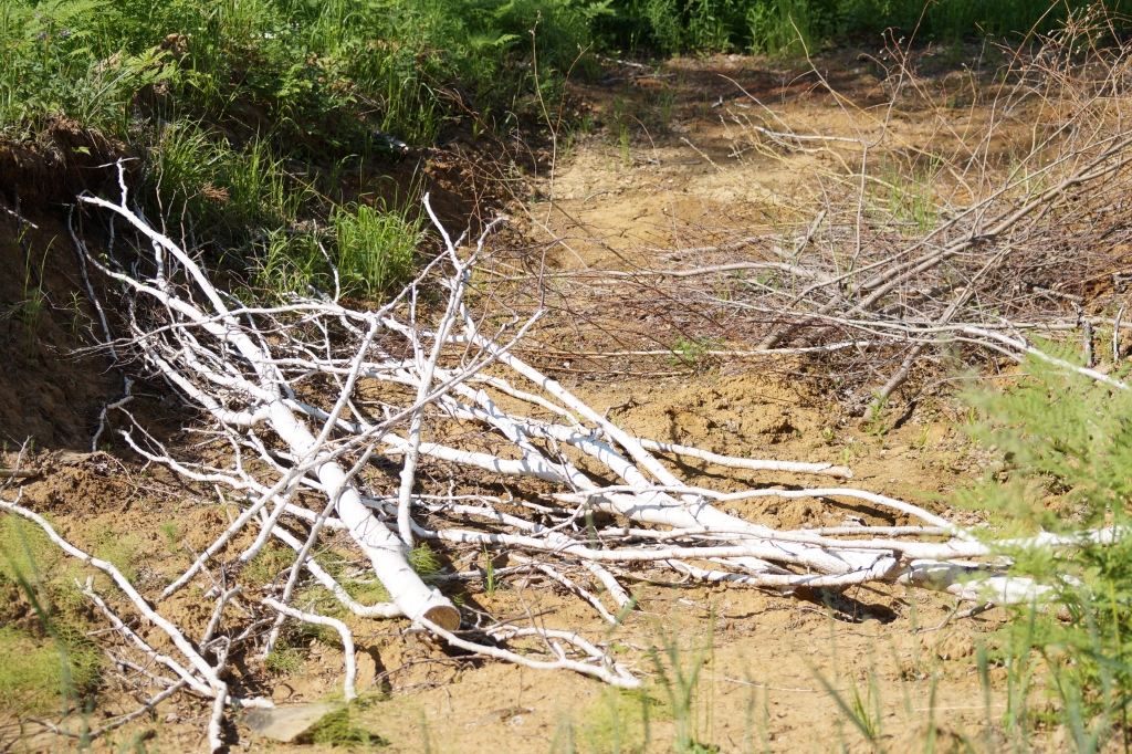Нарушения в пойме реки Средняя Хея