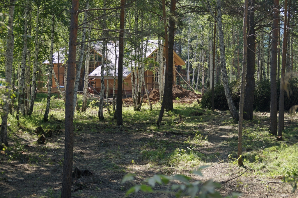 "Фронтовики" нашли в Иркутском районе подпольную пилораму и коттеджи вблизи реки