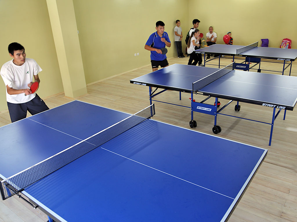 Настольный теннис