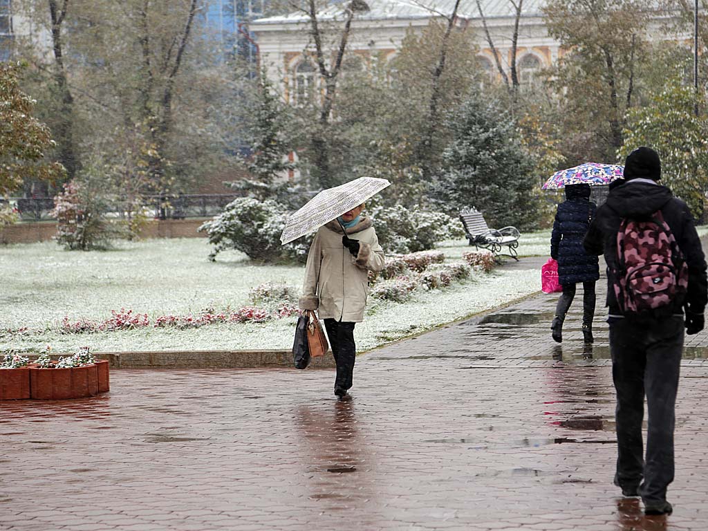 Горожане