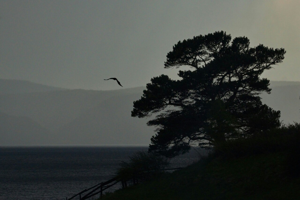 Природа