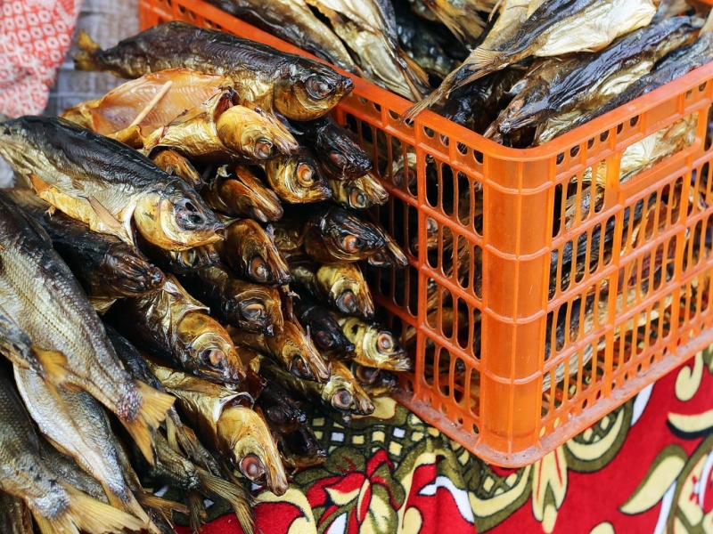 Продажа омуля Мария Оленникова, IrkutskMedia