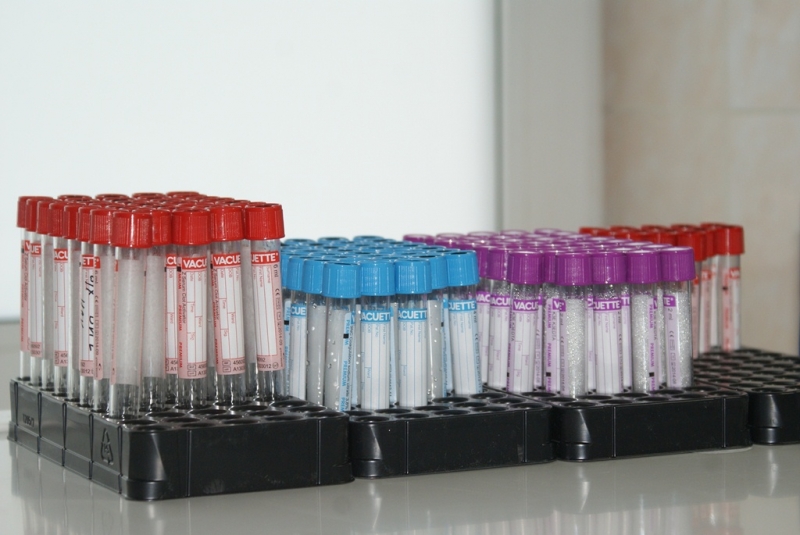 Медицина  Пушкина Юлия, PrimaMedia