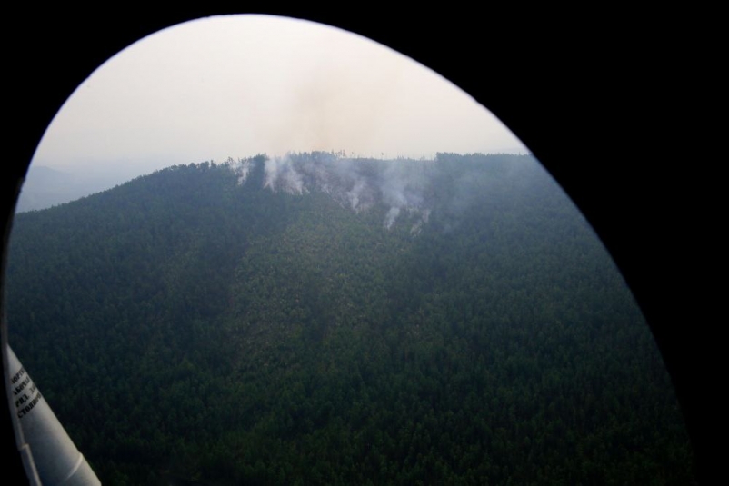 11 лесных пожаров действует в Иркутской области