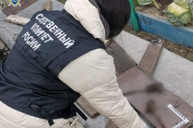 Пьяный ревнивец зарезал женщину и закопал тело в компостной яме в Ангарске