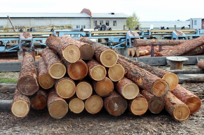 Дело о контрабанде леса на 780 тысяч рублей возбудили в Братске