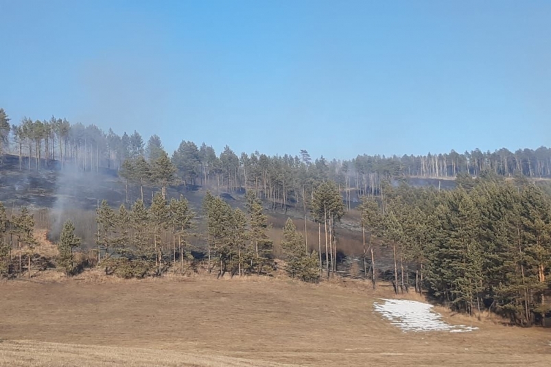 В Иркутской области четыре лесных пожара произошли по вине местных жителей