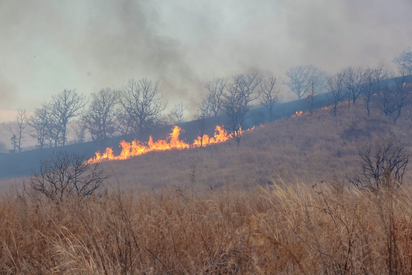 Сразу 14 лесных пожаров произошло в Иркутской области за минувшие сутки