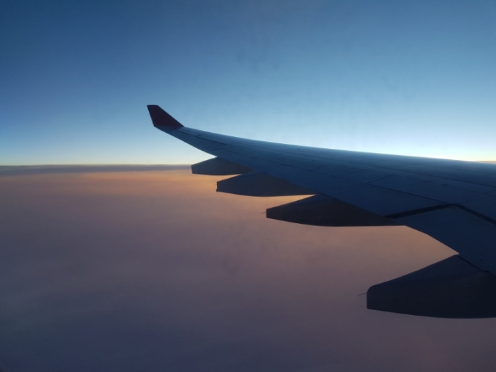 Пассажира самолета Москва-Иркутск наказали за курение на борту