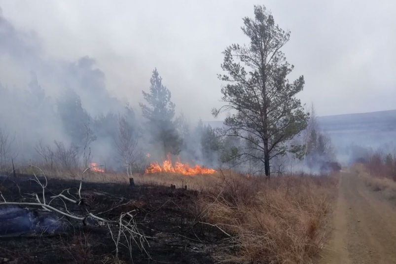 Девять лесных пожаров вблизи населенных пунктов потушили в Приангарье за сутки