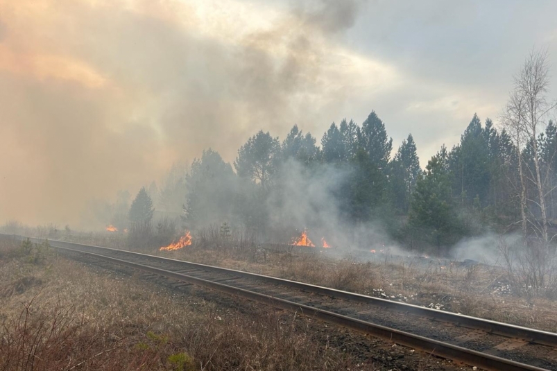 11 пожаров потушили в лесах Иркутской области за сутки