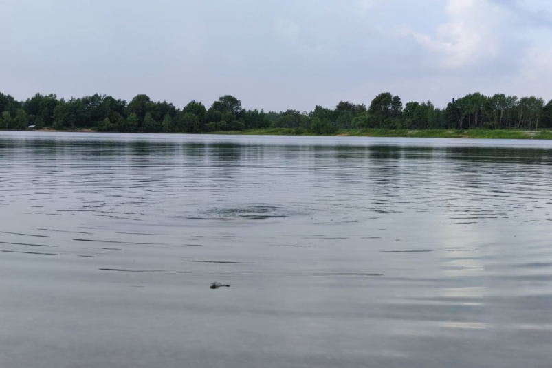 17-летний подросток утонул в водоеме в селе Смоленщина Иркутского района