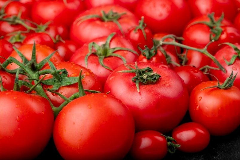 Да это помидорные плантации! агроном подсказал 4 способа, как вручную опылить растения